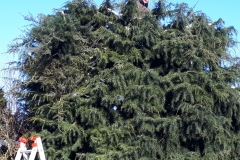 IMG-20180415-WA0050