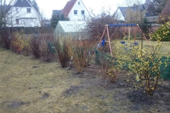 IMG-20170718-WA0017