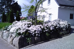 mauersteine