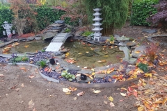 IMG-20181203-WA0068
