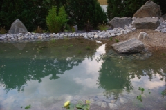 teichbau-moenkhagen5